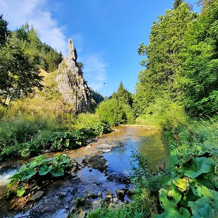 Grand Et Moucherolles - Jacuzzi - 17 Pers *